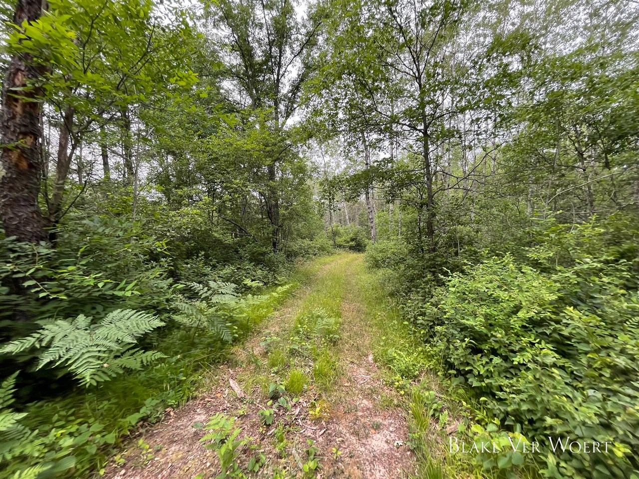 V/L 27A E 15 Mile Road, Bitely, MI, 49309