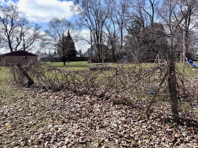 315 E Slosson Avenue, Reed City, MI, 49677-1232