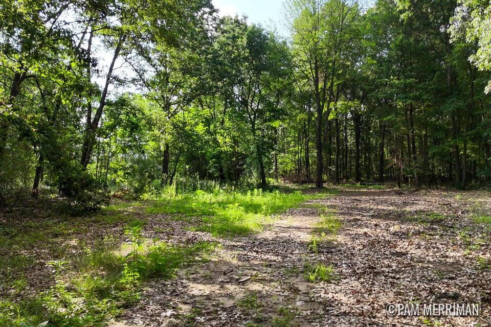 Parcel B Youngman Road, Trufant, MI, 49347