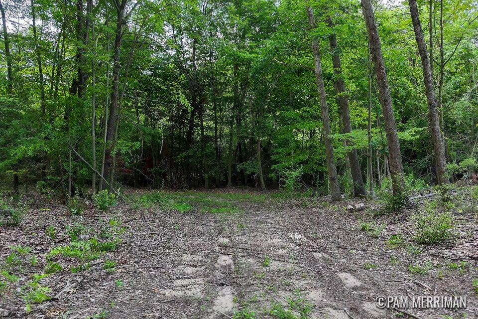 Parcel B Youngman Road, Trufant, MI, 49347