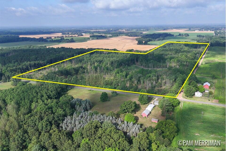 Parcel B Youngman Road, Trufant, MI, 49347