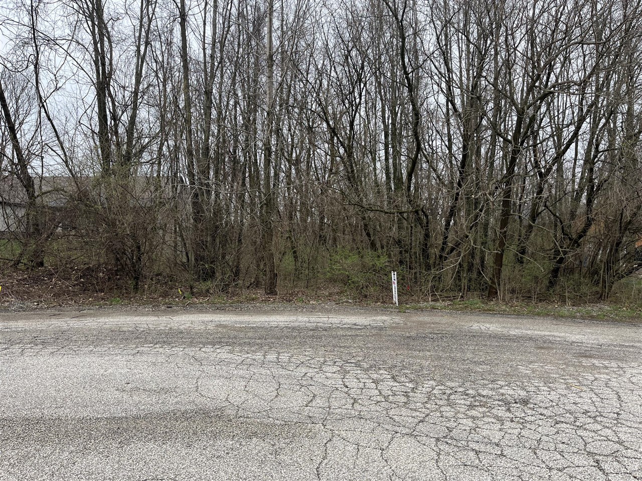 VL 18.68ac County Road 687, Bangor, MI, 49013