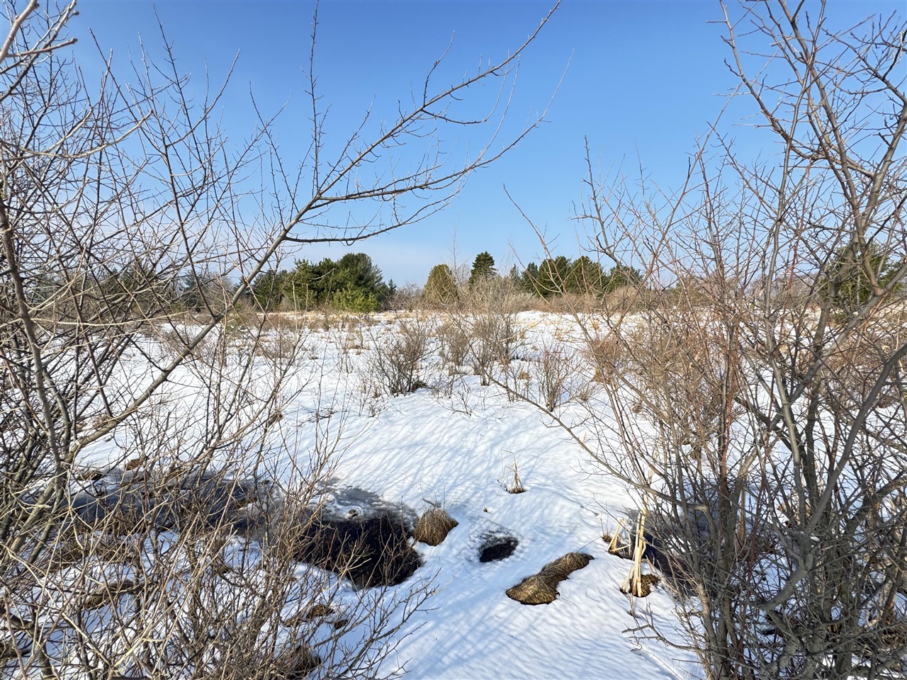 Lot 14 Sunset Lane, Manistee, MI, 49660