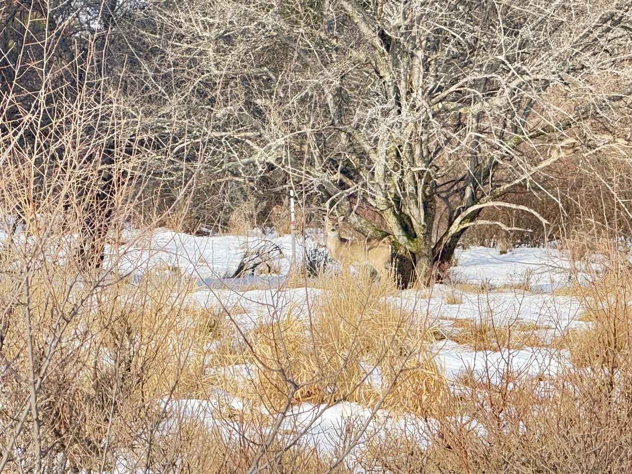 Lot 14 Sunset Lane, Manistee, MI, 49660