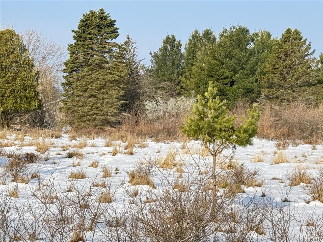 Lot 14 Sunset Lane, Manistee, MI, 49660