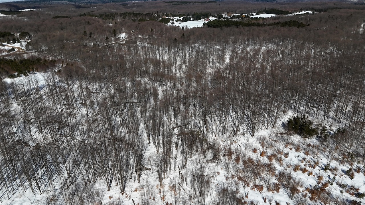 Walker Road, Rapid City, MI, 49676