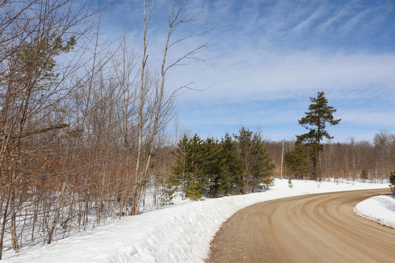 Walker Road, Rapid City, MI, 49676