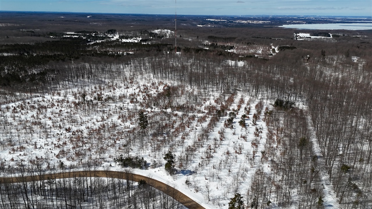 Walker Road, Rapid City, MI, 49676