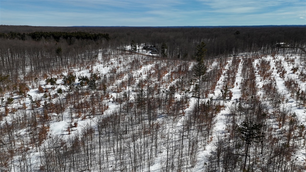 Walker Road, Rapid City, MI, 49676