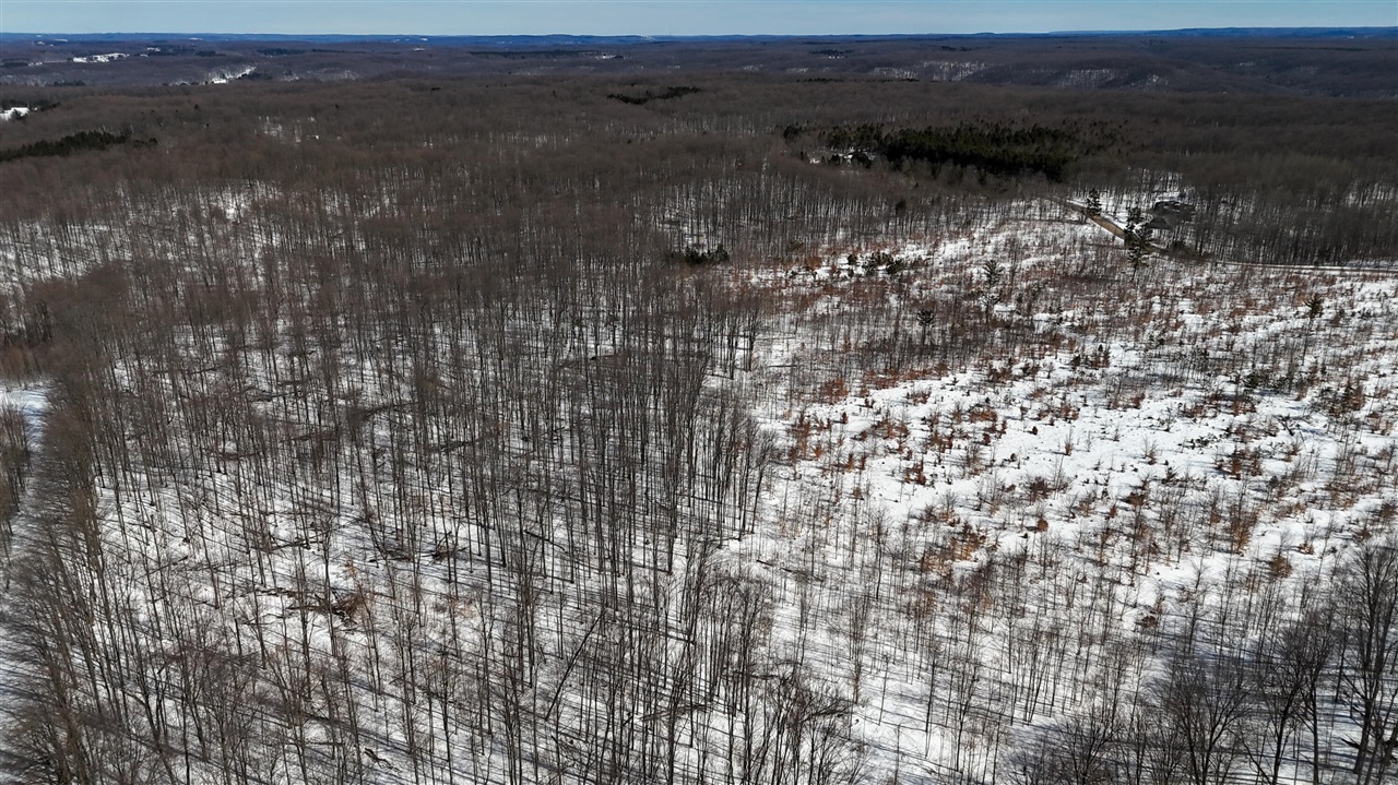 Walker Road, Rapid City, MI, 49676