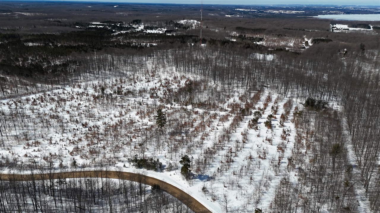 Walker Road, Rapid City, MI, 49676