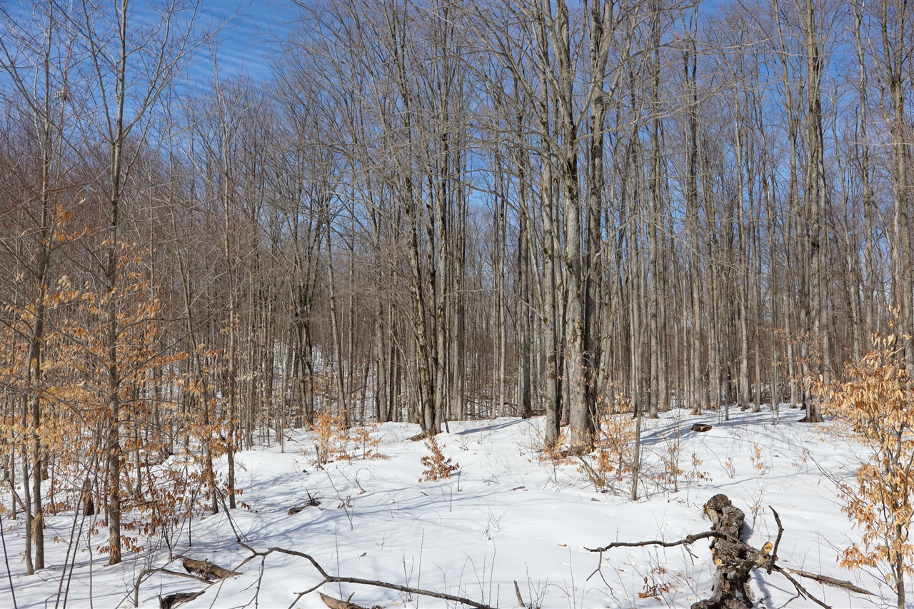 Walker Road, Rapid City, MI, 49676