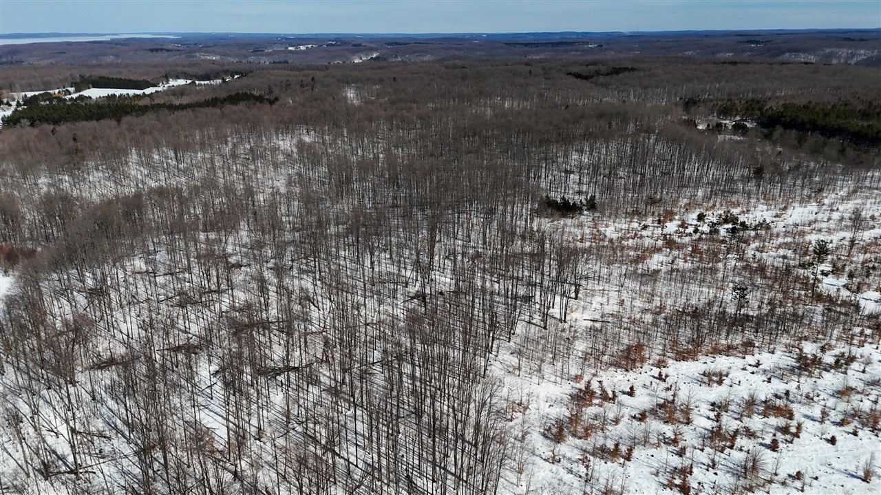 Walker Road, Rapid City, MI, 49676