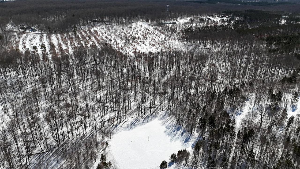 Walker Road, Rapid City, MI, 49676