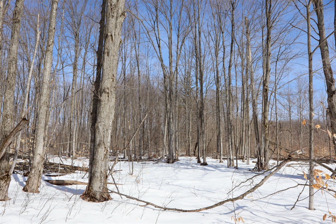 Walker Road, Rapid City, MI, 49676