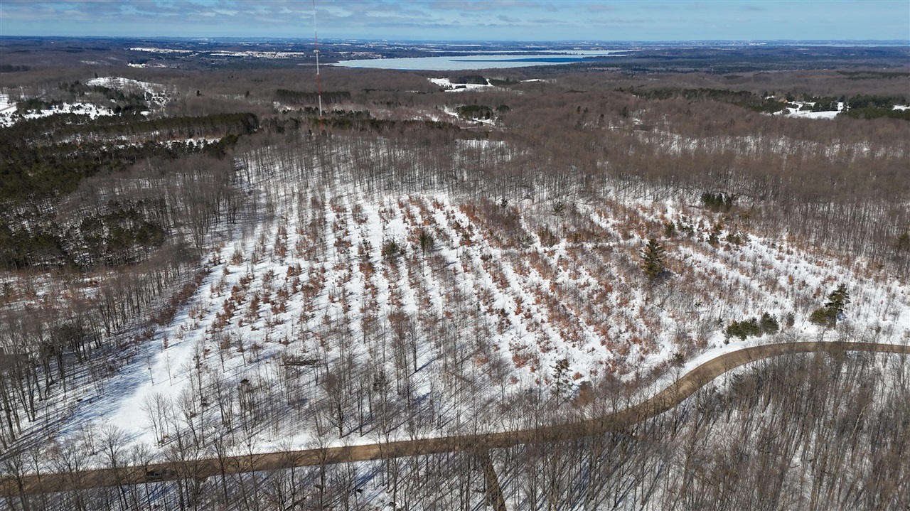 Walker Road, Rapid City, MI, 49676