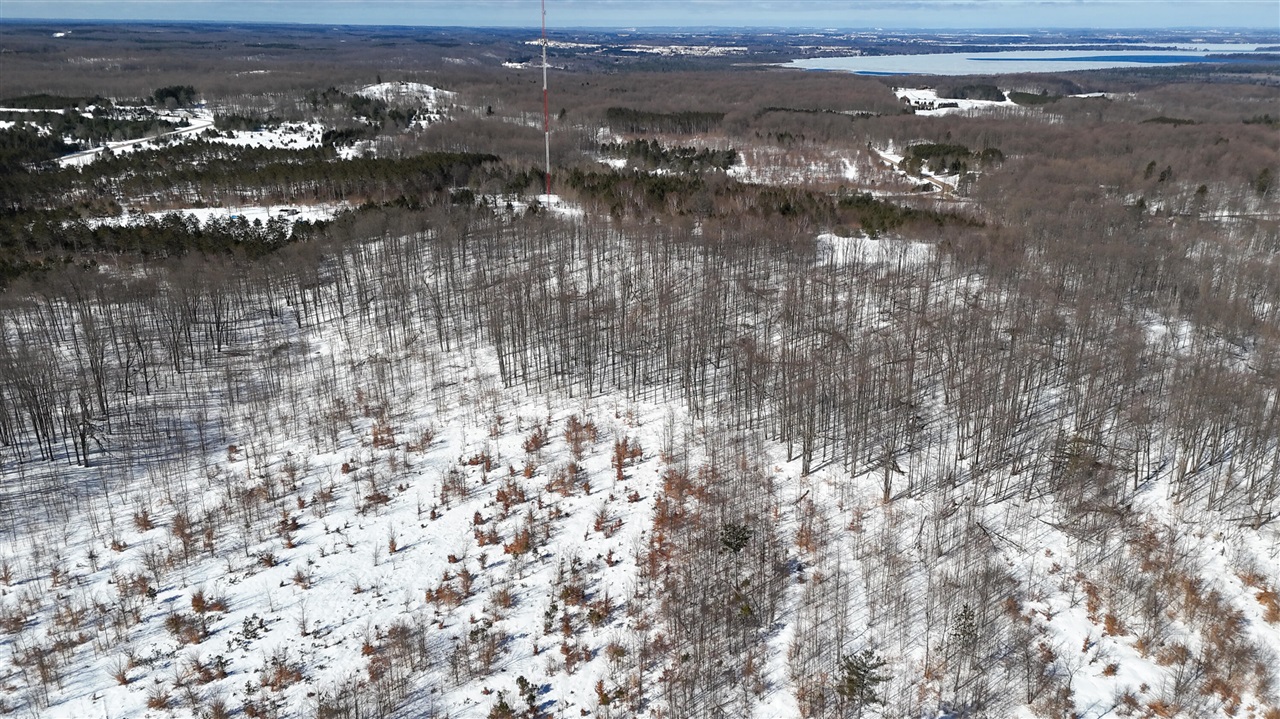 Walker Road, Rapid City, MI, 49676