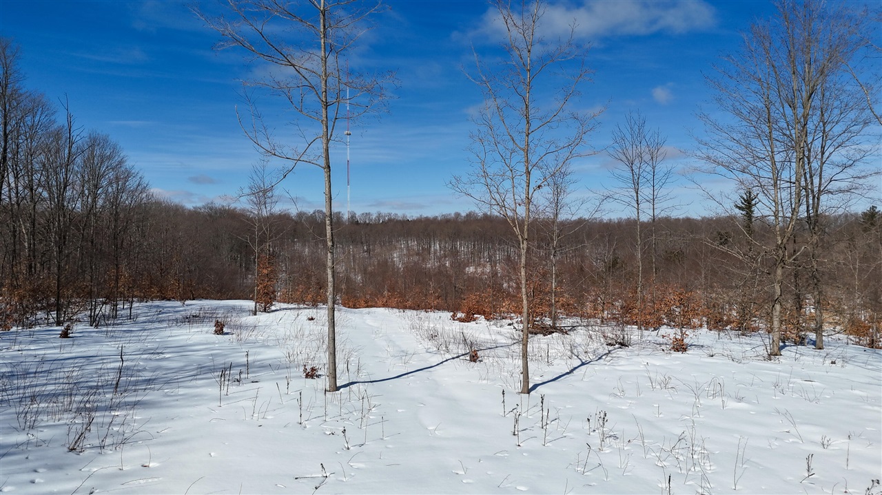 Walker Road, Rapid City, MI, 49676