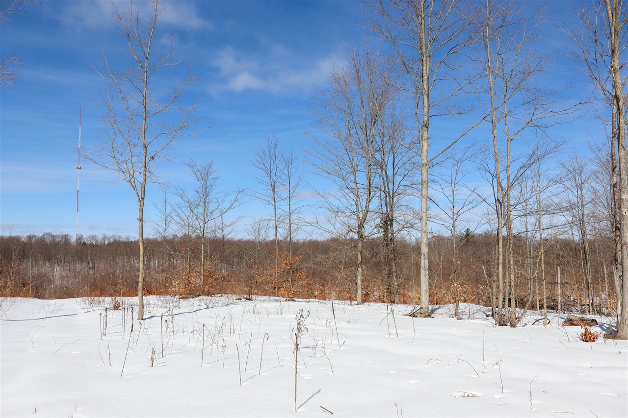 Walker Road, Rapid City, MI, 49676