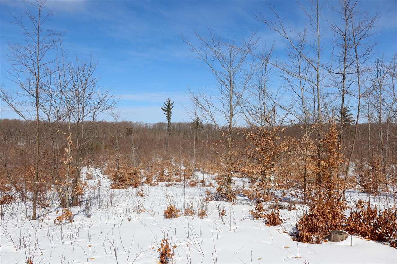 Walker Road, Rapid City, MI, 49676