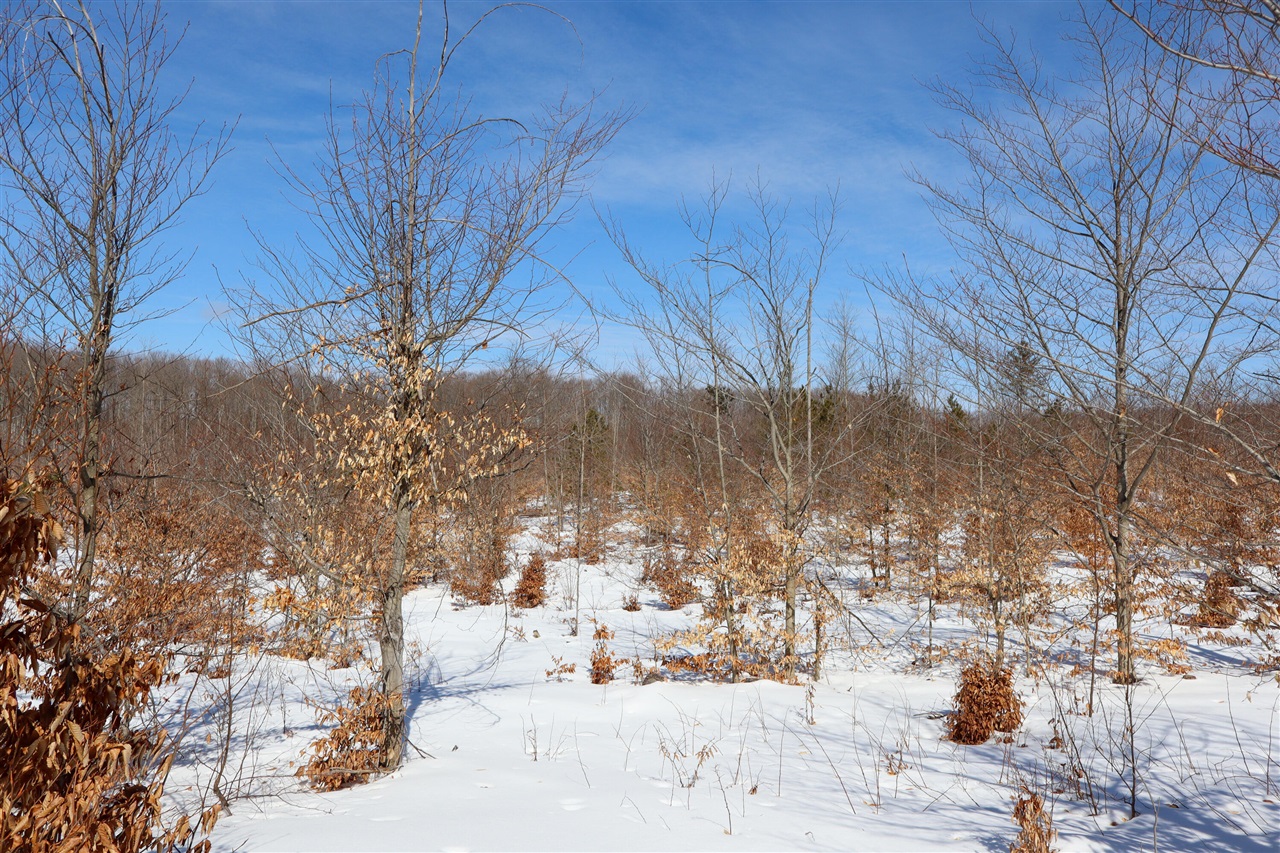 Walker Road, Rapid City, MI, 49676