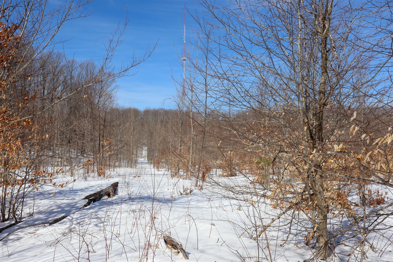 Walker Road, Rapid City, MI, 49676