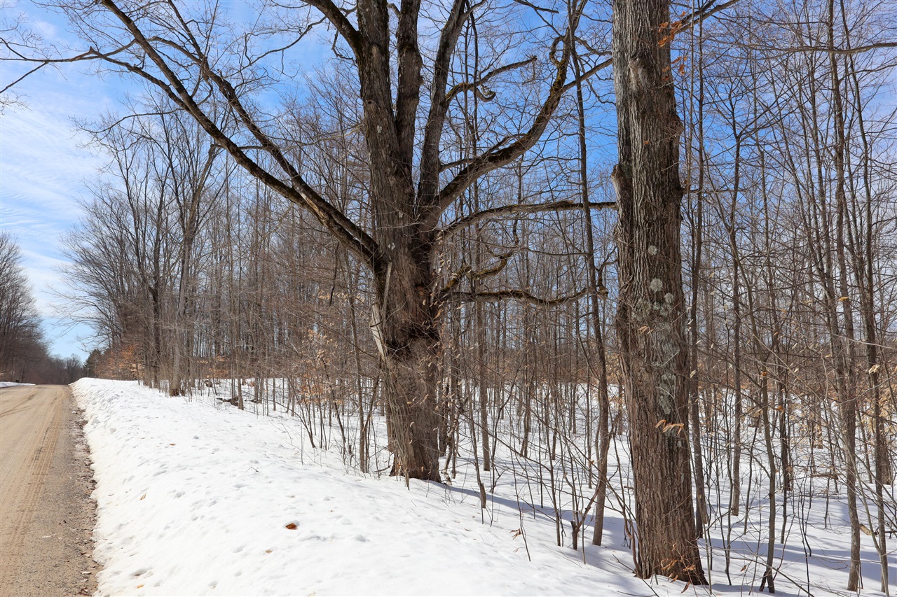 Walker Road, Rapid City, MI, 49676