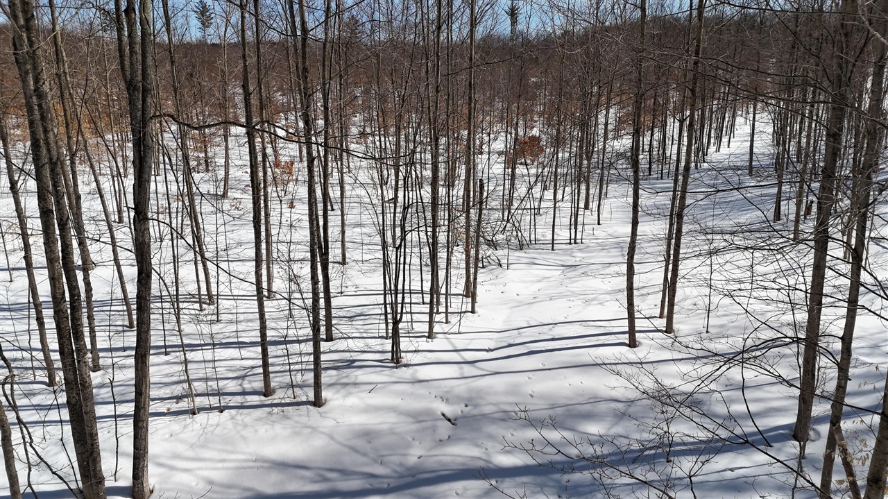 Walker Road, Rapid City, MI, 49676