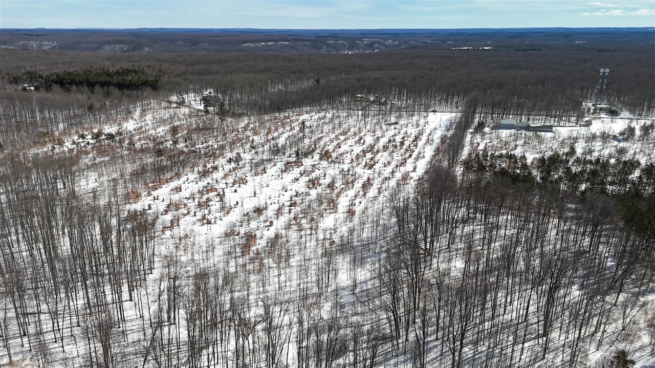 Walker Road, Rapid City, MI, 49676