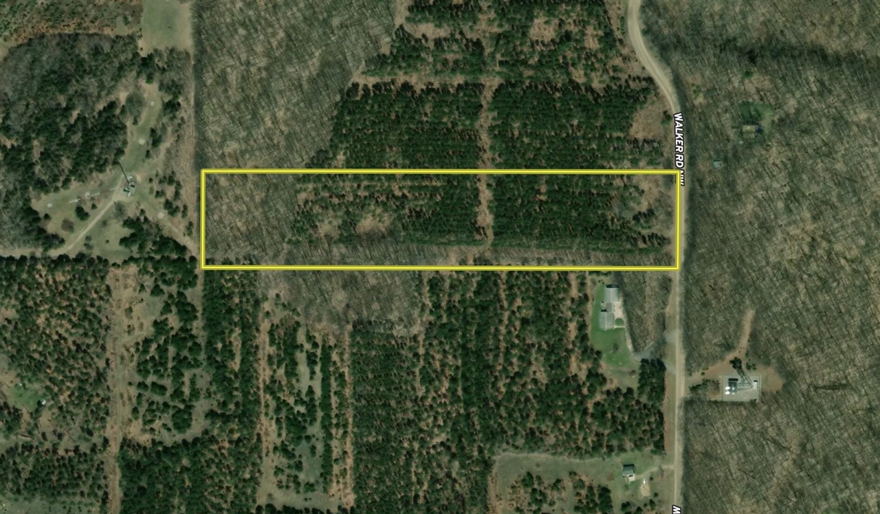 Walker Road, Rapid City, MI, 49676