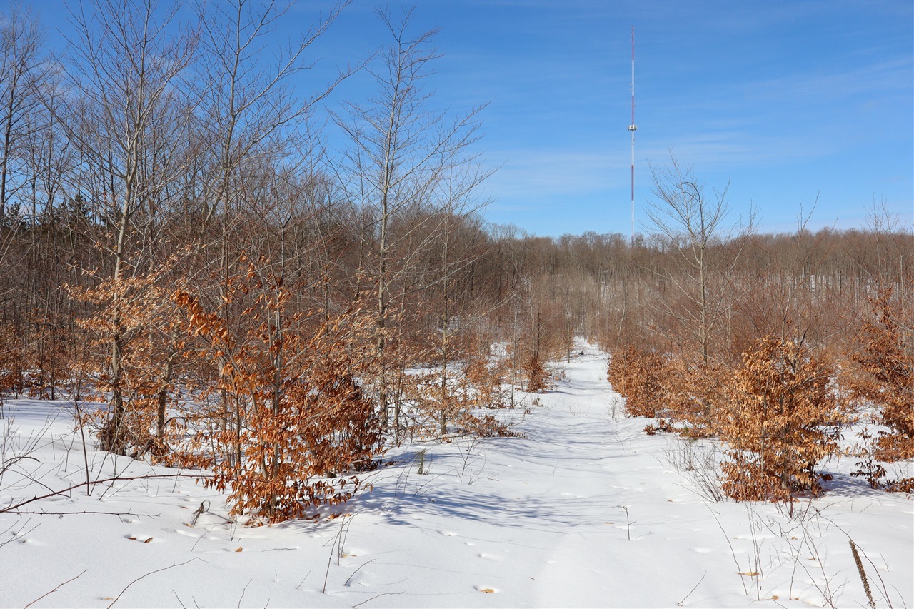 Walker Road, Rapid City, MI, 49676