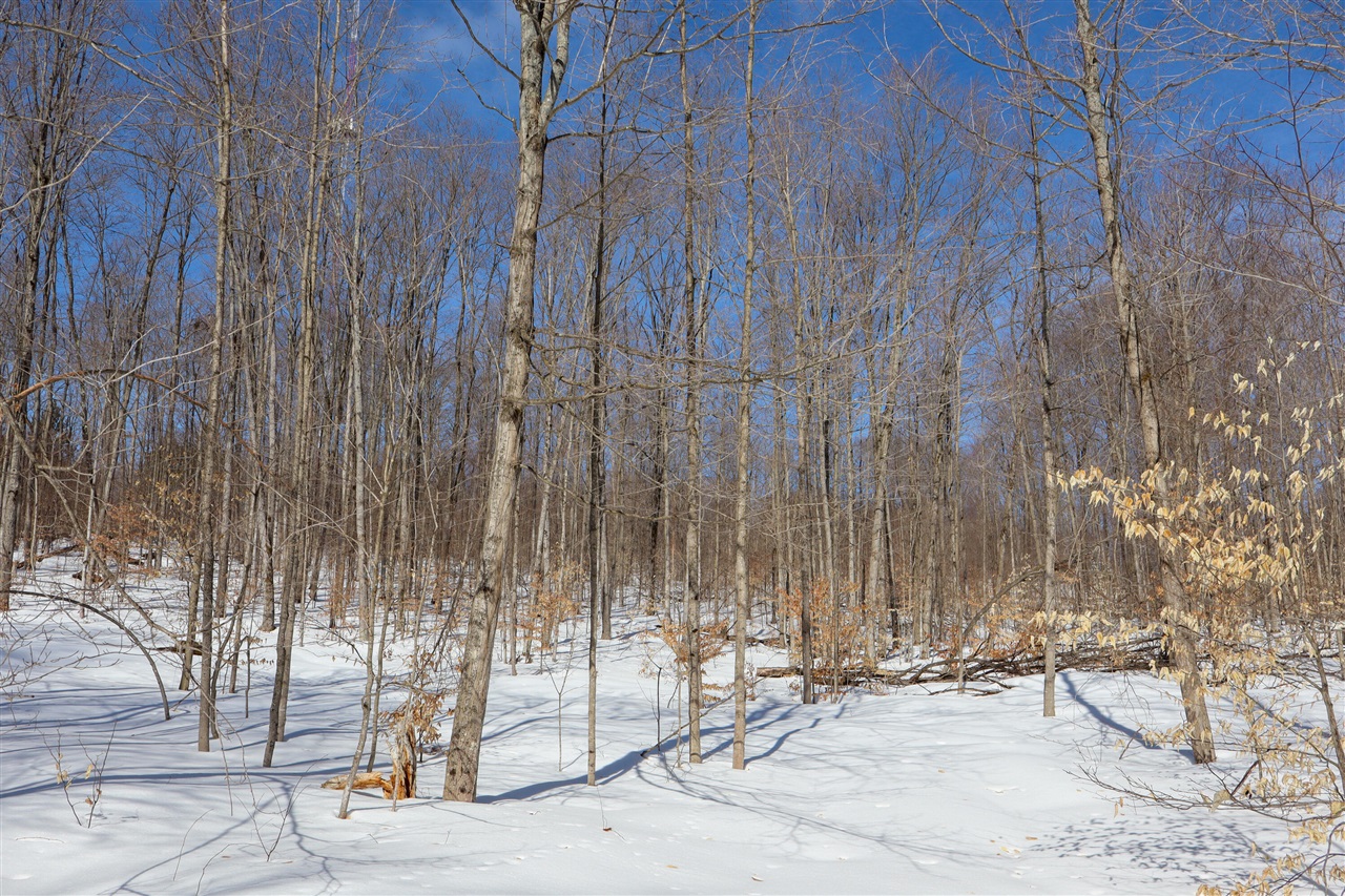 Walker Road, Rapid City, MI, 49676