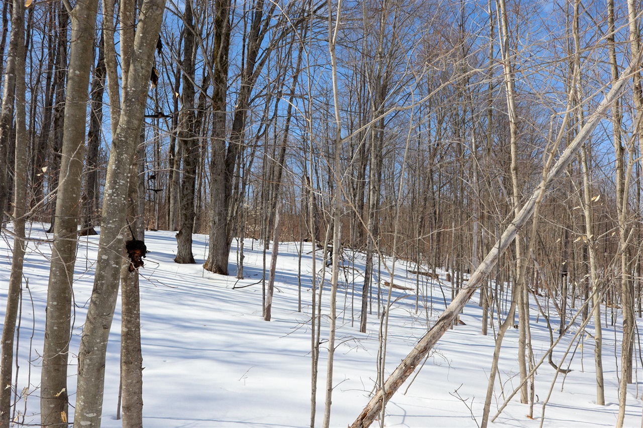 Walker Road, Rapid City, MI, 49676