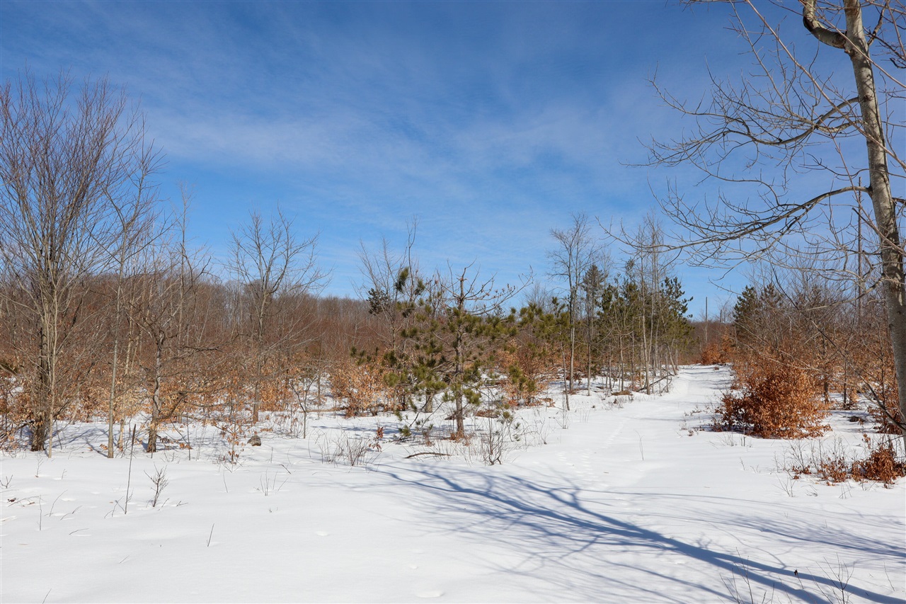 Walker Road, Rapid City, MI, 49676