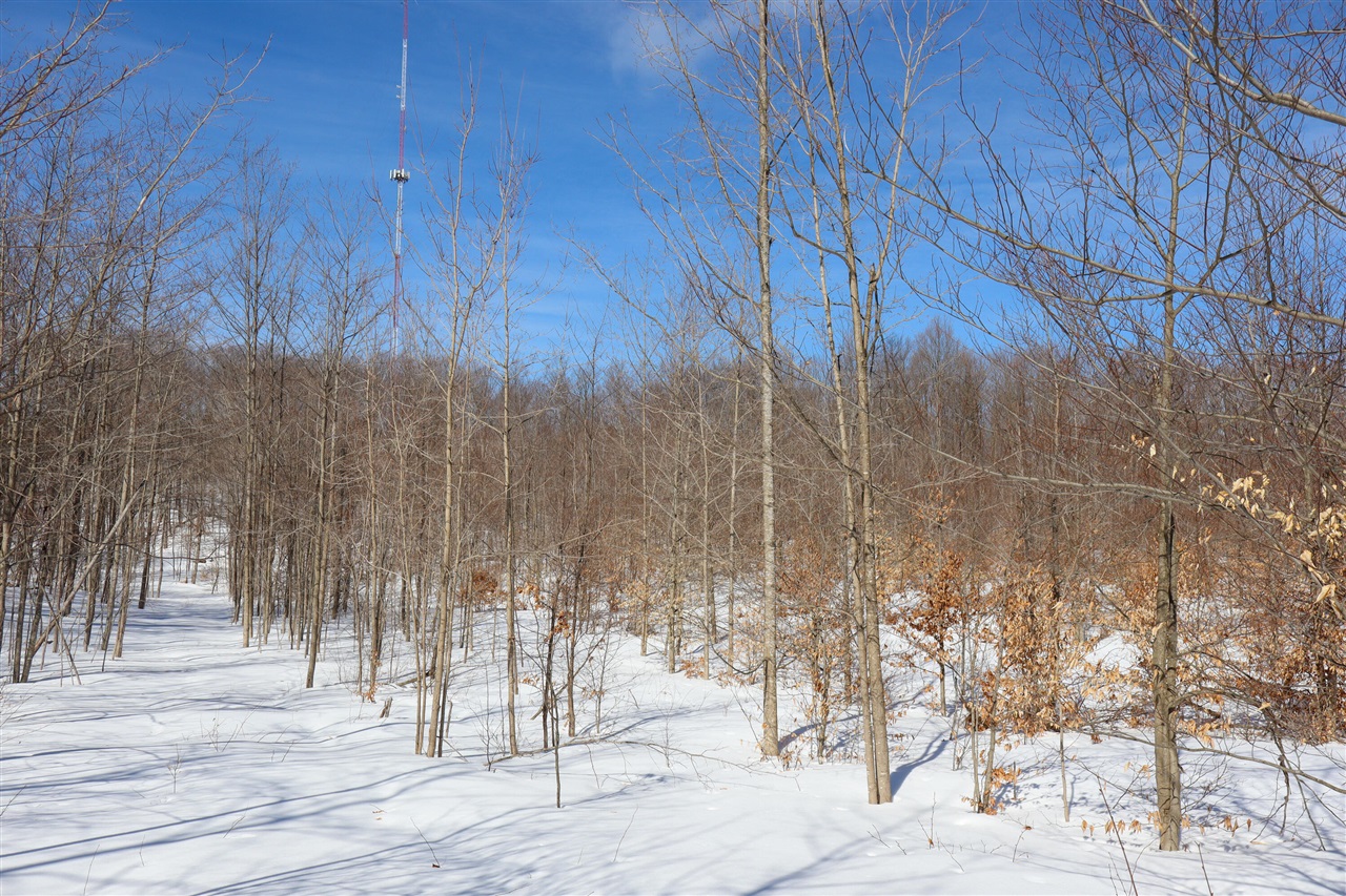 Walker Road, Rapid City, MI, 49676