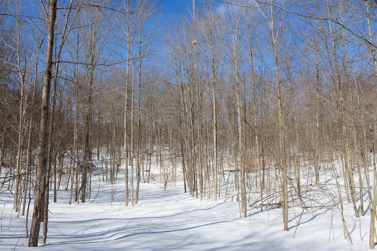 Walker Road, Rapid City, MI, 49676