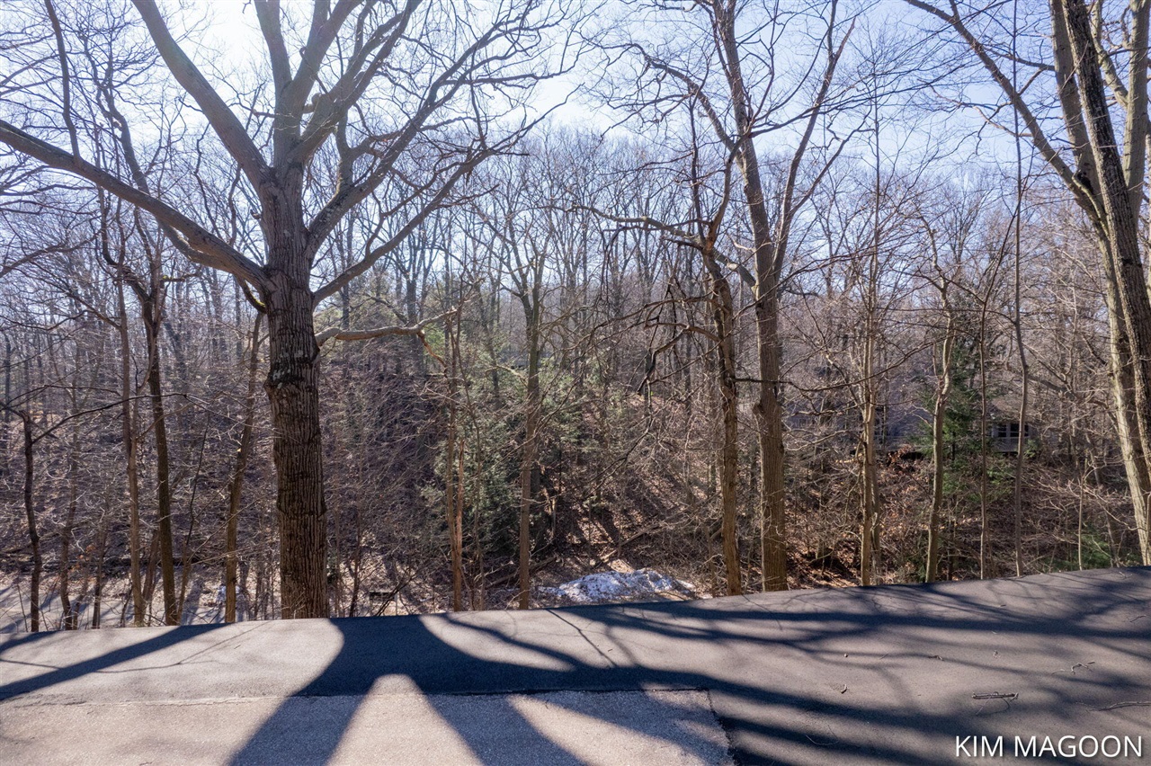 Lot 45 Valleywood Court, Holland, MI, 49423