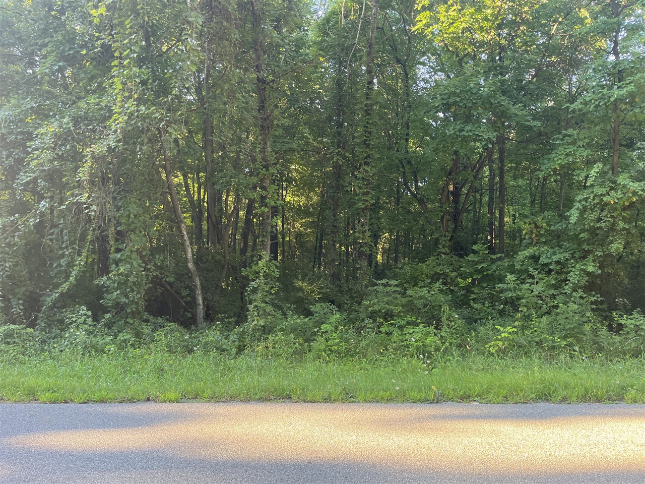 6700 Hallenbeck Highway, Manitou Beach, MI, 49253