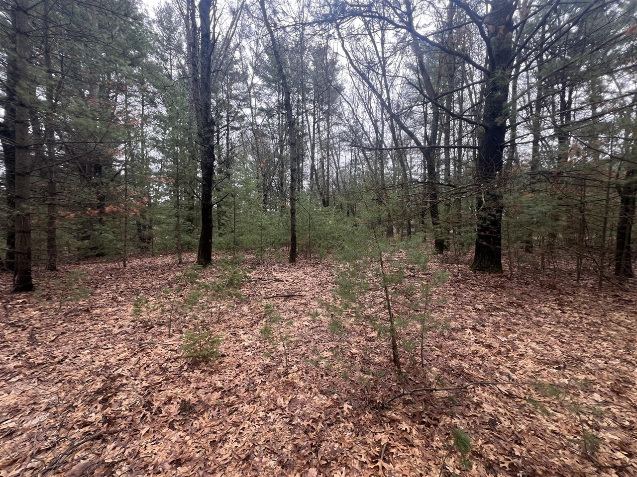 S Atwater, White Cloud, MI, 49349