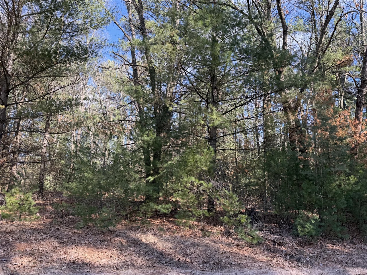 S Atwater, White Cloud, MI, 49349