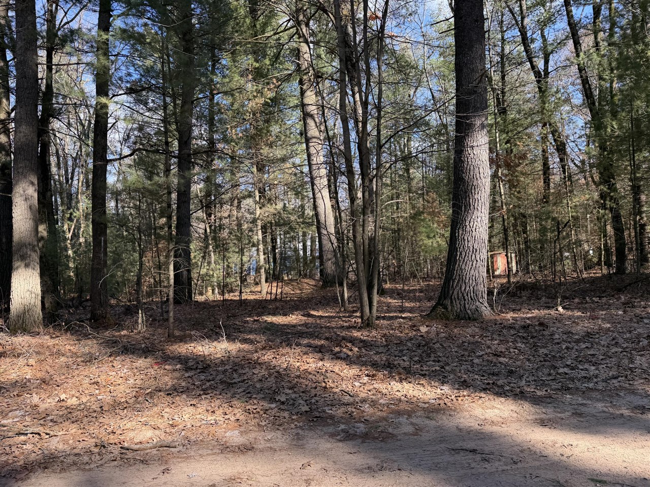 S Atwater, White Cloud, MI, 49349