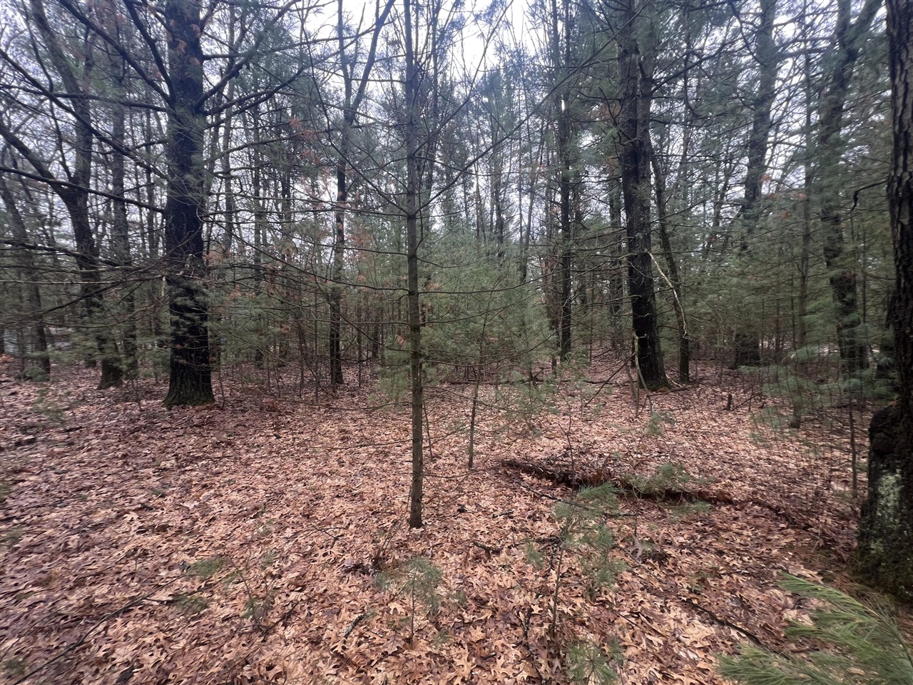 S Atwater, White Cloud, MI, 49349