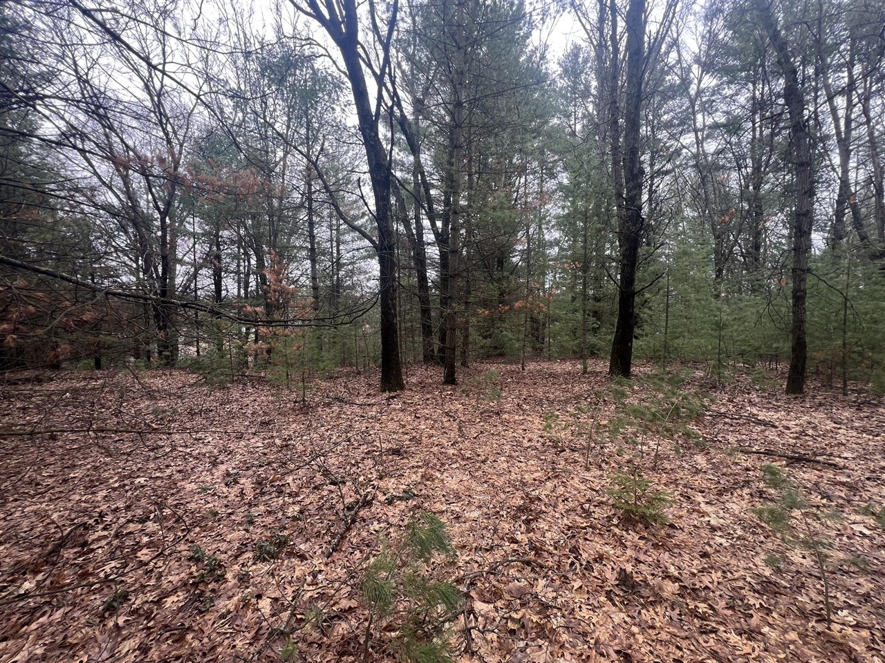 S Atwater, White Cloud, MI, 49349