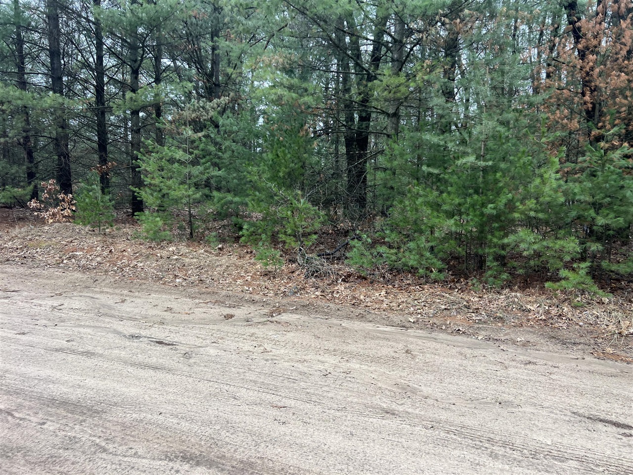 S Atwater, White Cloud, MI, 49349