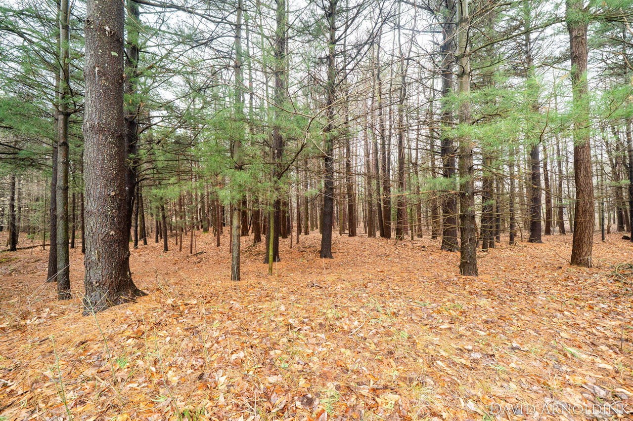 6264 140th Avenue, Holland, MI, 49423-9732