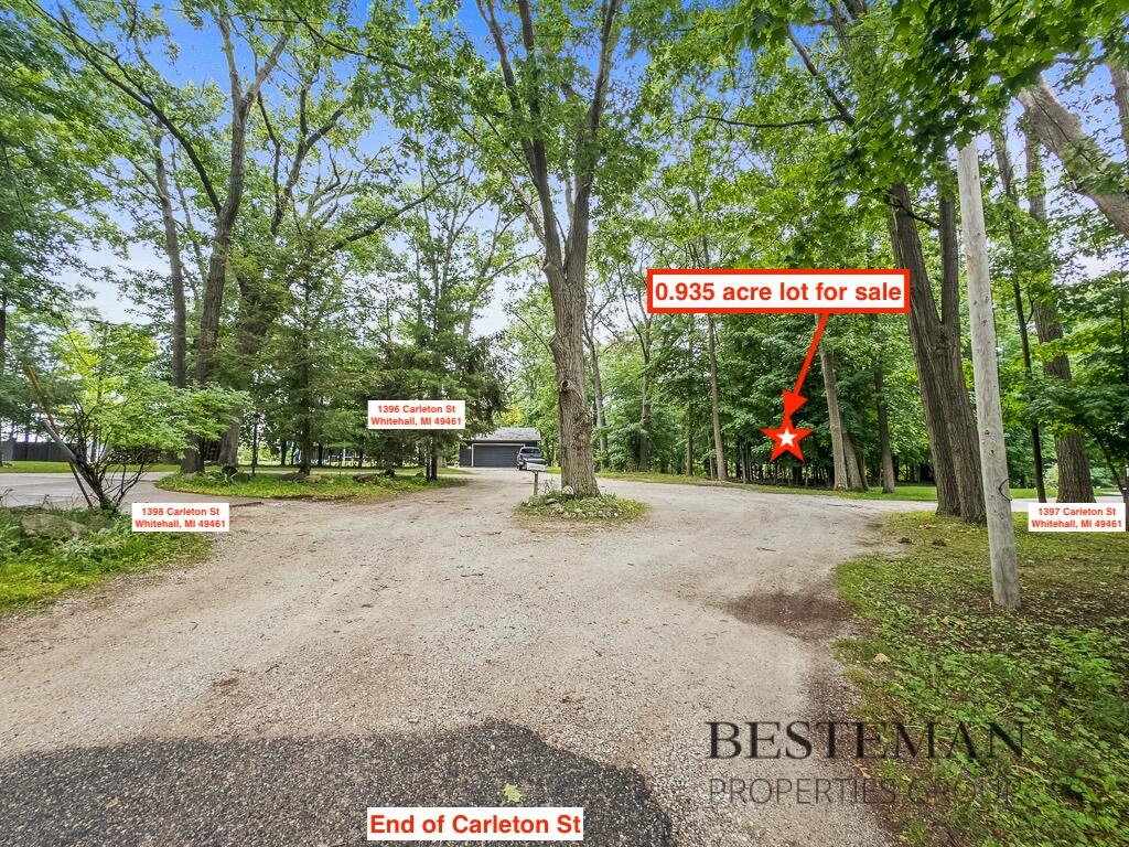 V/L Carleton Street, Whitehall, MI, 49461