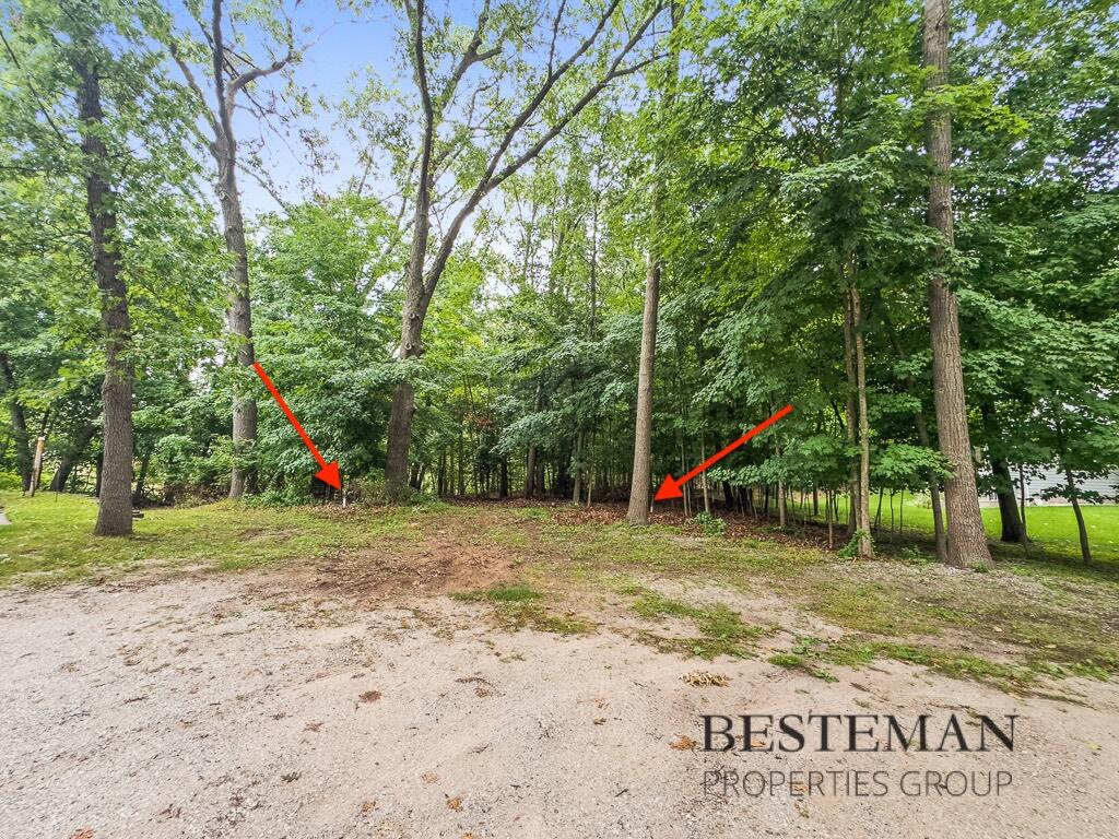 V/L Carleton Street, Whitehall, MI, 49461