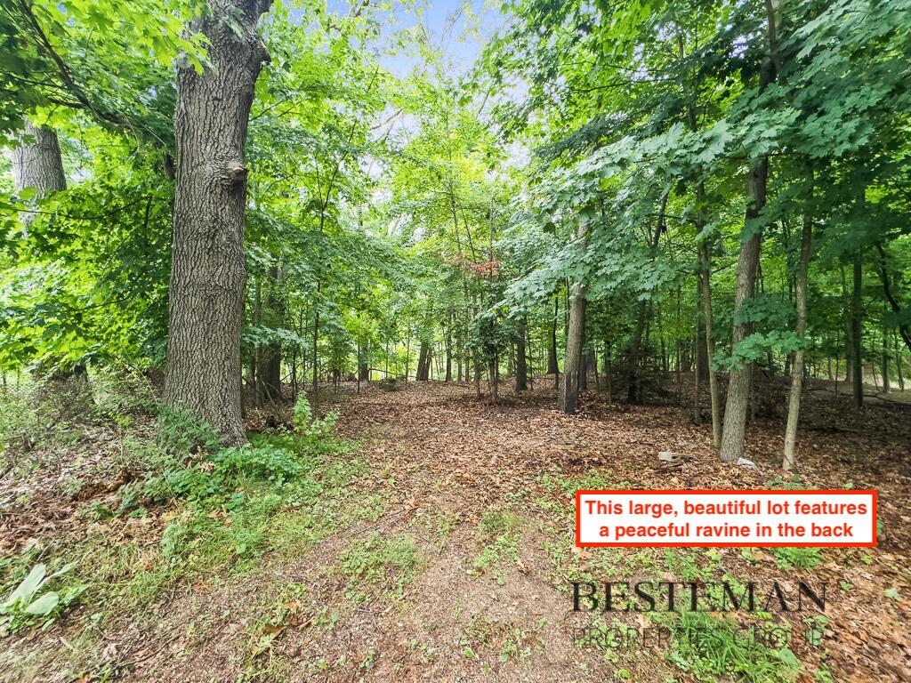 V/L Carleton Street, Whitehall, MI, 49461