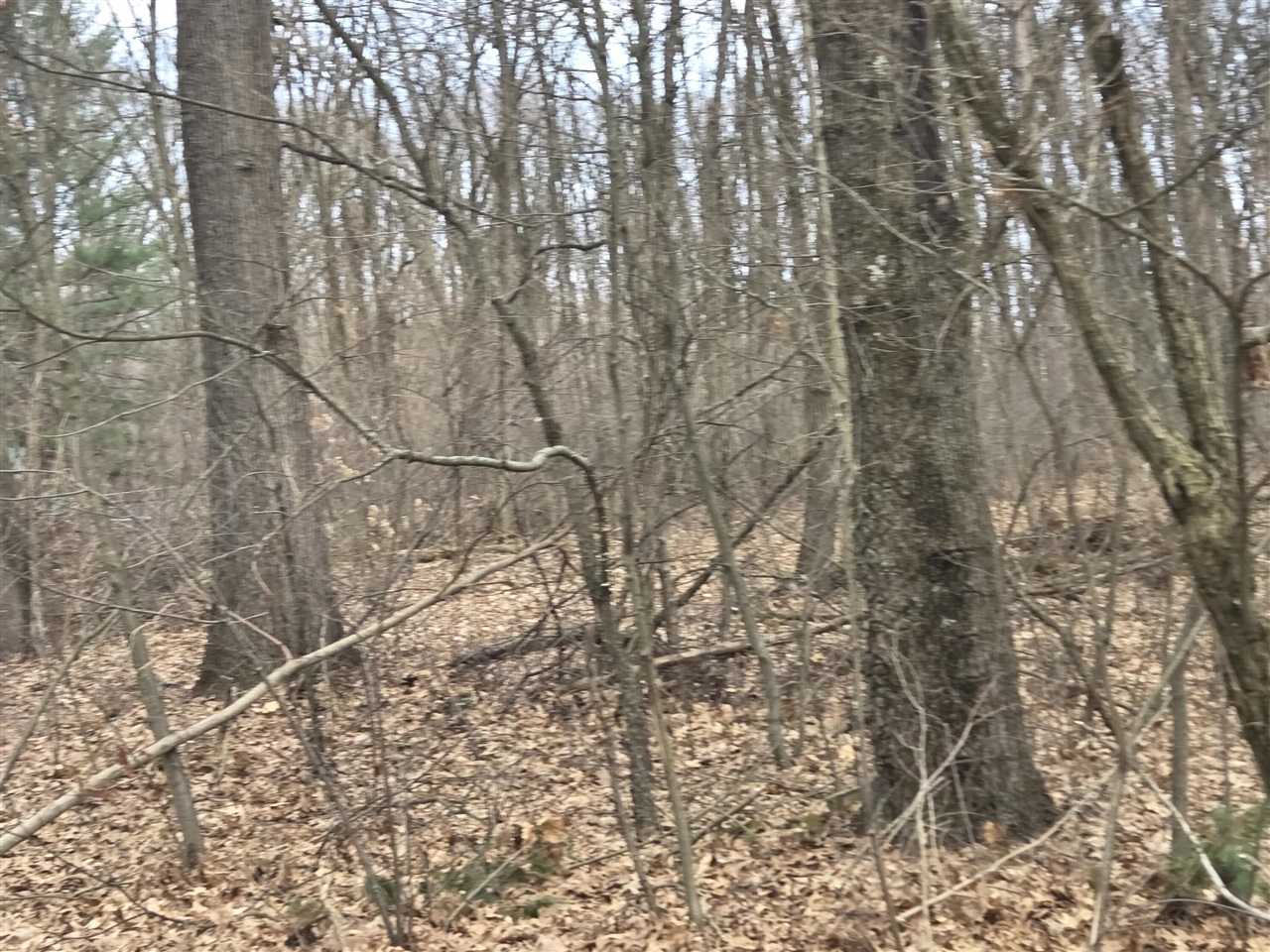 26641 60th Avenue, Mattawan, MI, 49071-9511