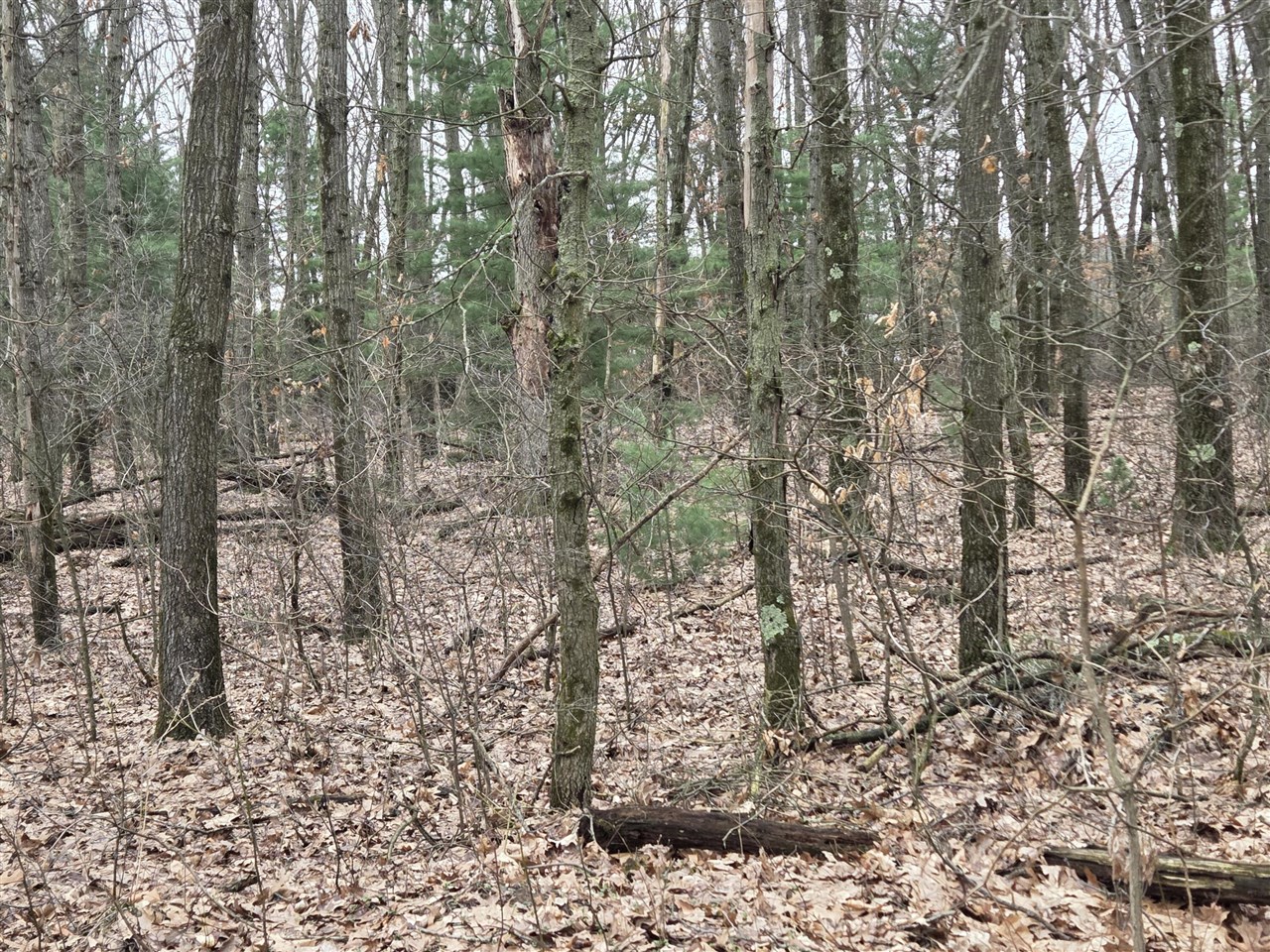 26641 60th Avenue, Mattawan, MI, 49071-9511